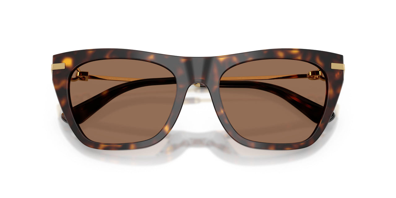 502/73 - Tortoise - Dark Brown