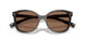 17N06B - Tortoise - Dark Brown