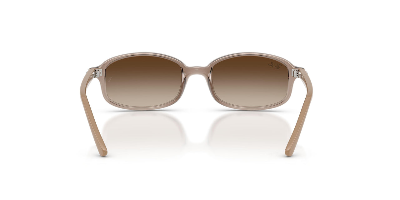 720013 - Brown - Gradient Brown