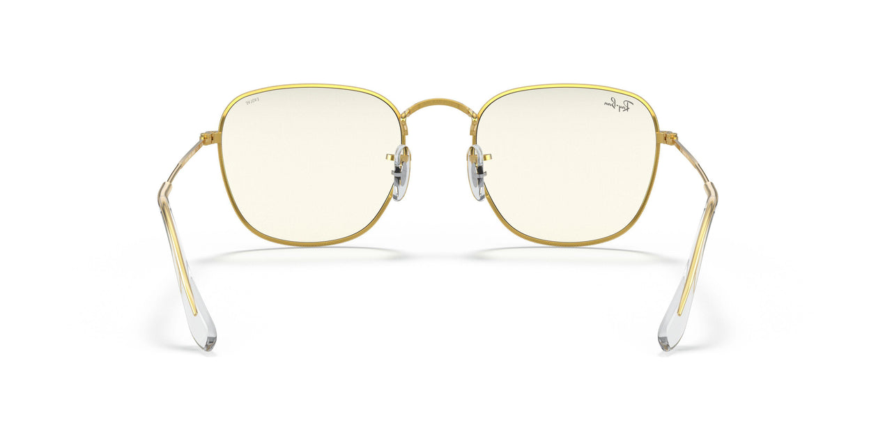 9196BL - Gold - Photo Grey/blue Light Filter