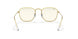 9196BL - Gold - Photo Grey/blue Light Filter