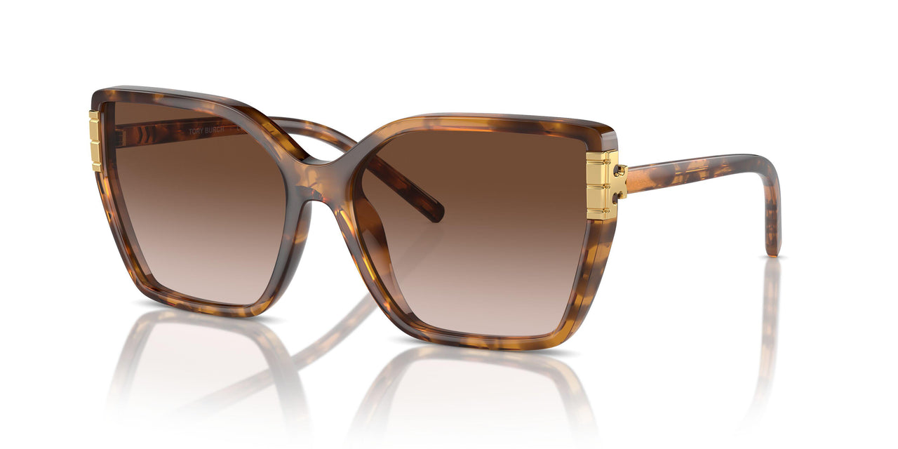 199213 - Tortoise - Light Brown Gradient