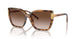 199213 - Tortoise - Light Brown Gradient