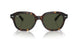 902/31 - Tortoise - Green