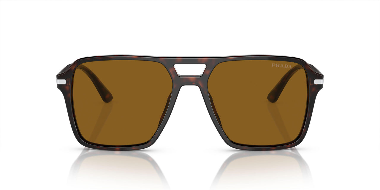 16N0B0 - Tortoise - Brown