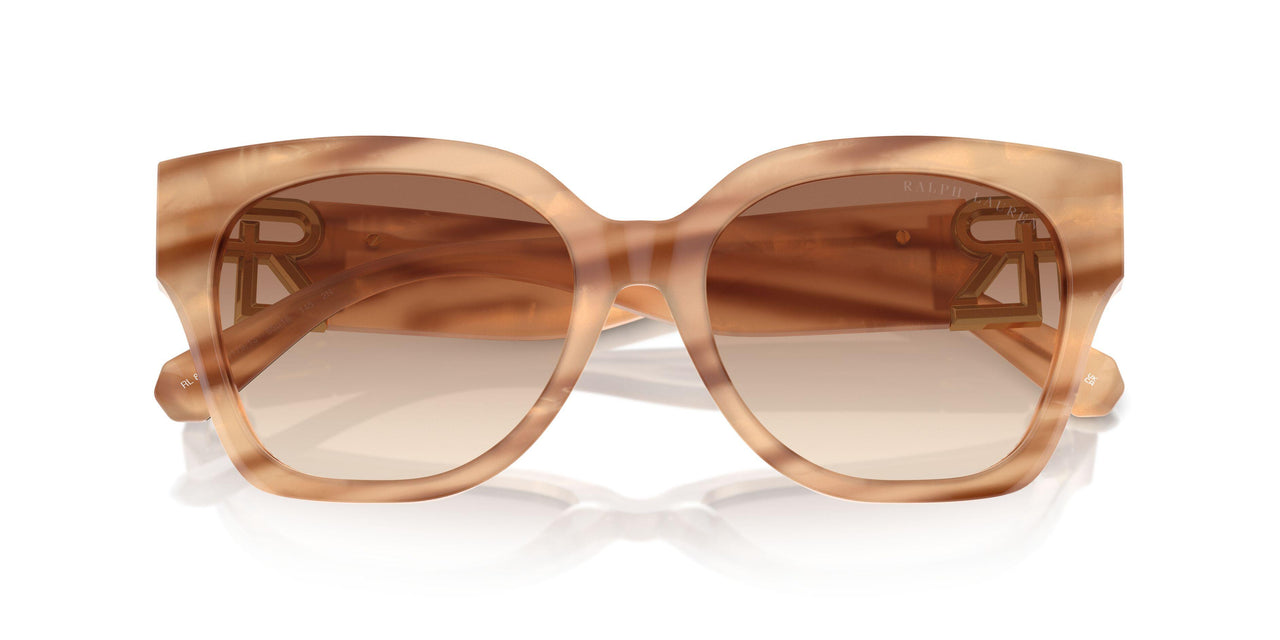 617913 - Brown - Gradient Brown