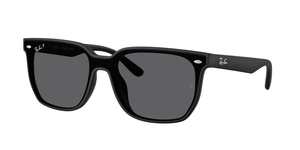 Ray-Ban 4466D Sunglasses