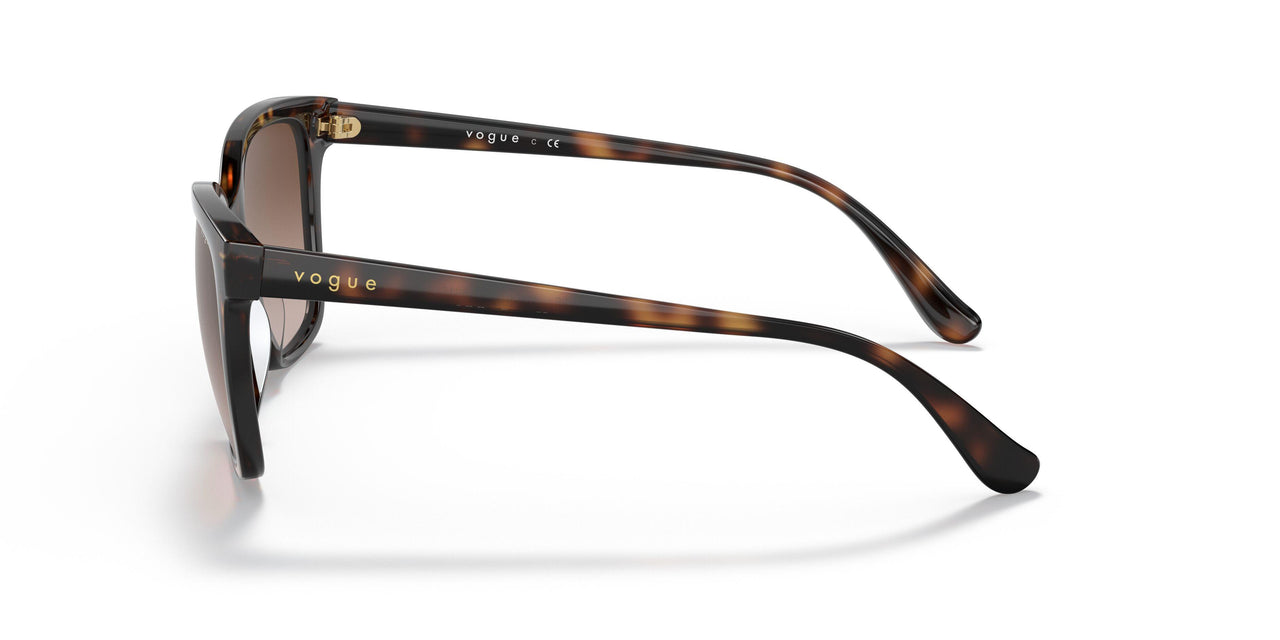 W65613 - Havana - Brown Gradient