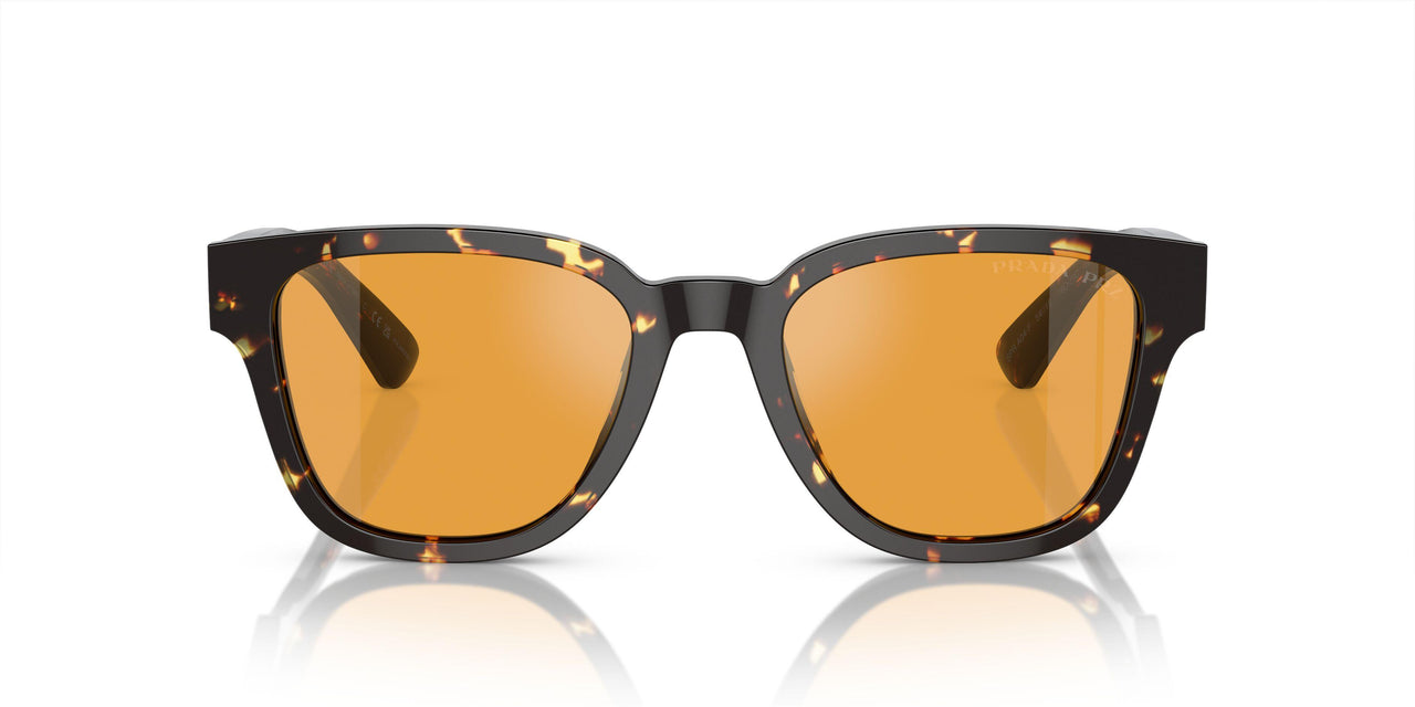 16O20C - Brown - Yellow Polar