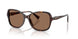 500373 - Tortoise - Brown