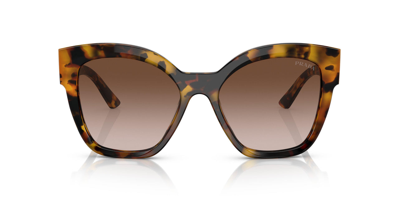 VAU6S1 - Havana - Brown Gradient