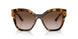 VAU6S1 - Havana - Brown Gradient