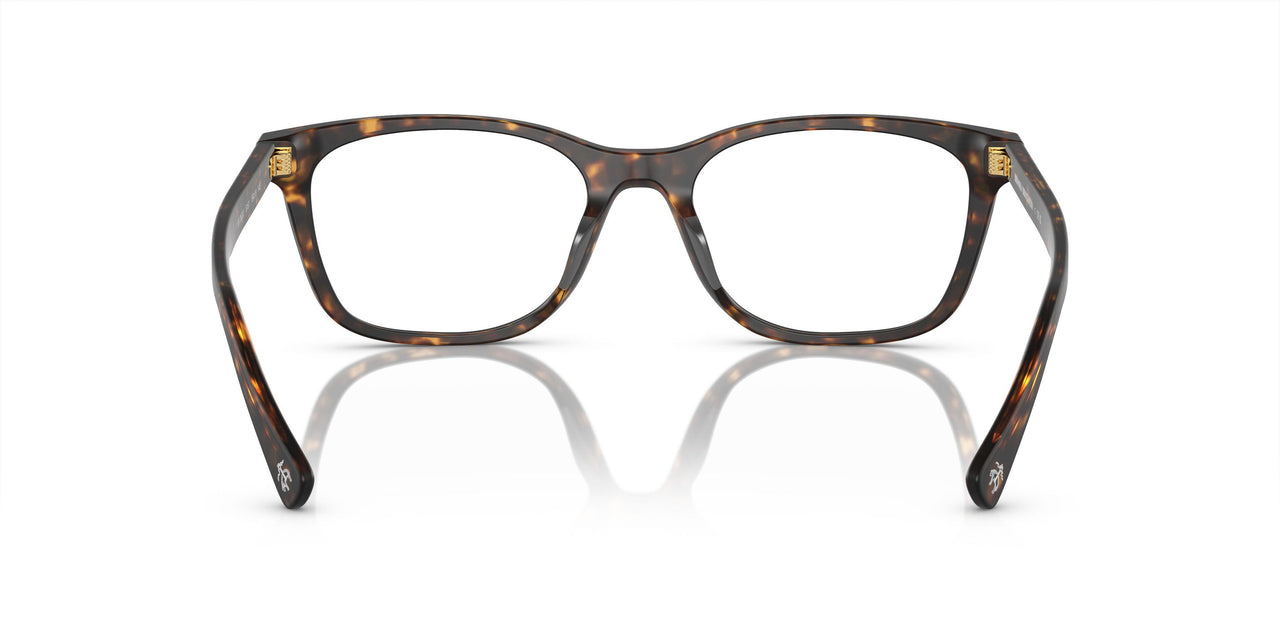 6161 - Tortoise
