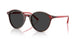 141948 - Multicolor - Polar Black