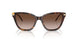 502613 - Tortoise - Brown Gradient