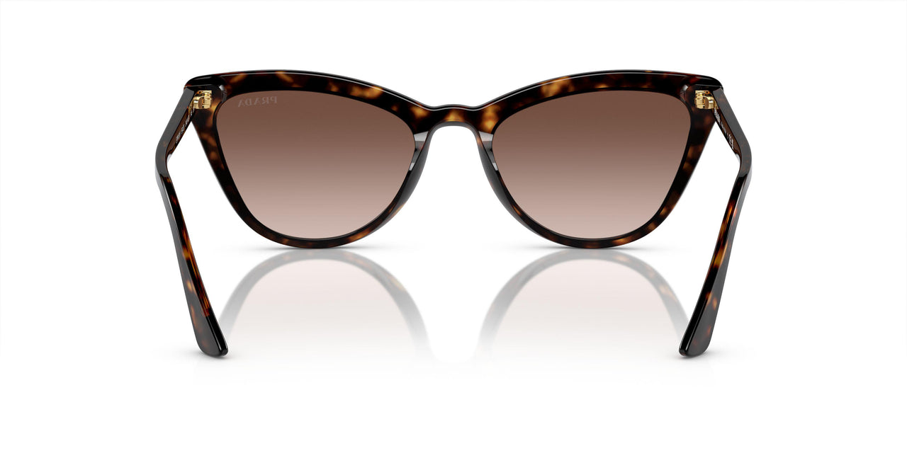 2AU6S1 - Havana - Brown Gradient