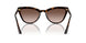 2AU6S1 - Havana - Brown Gradient