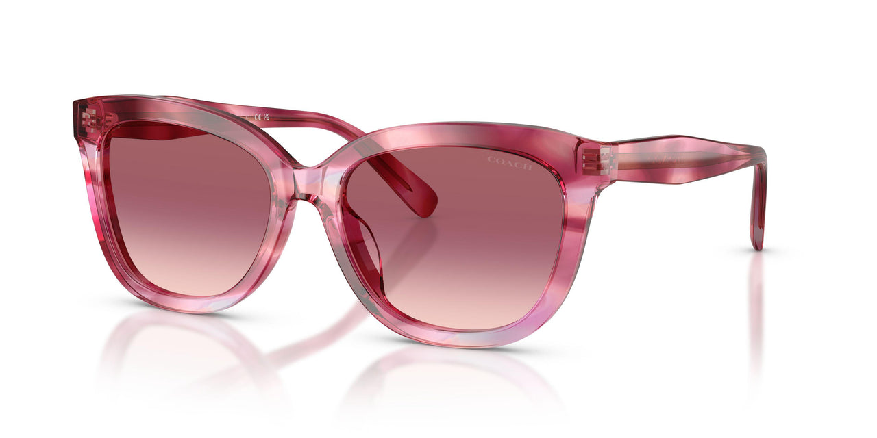 Coach Cdp53 8453U Sunglasses