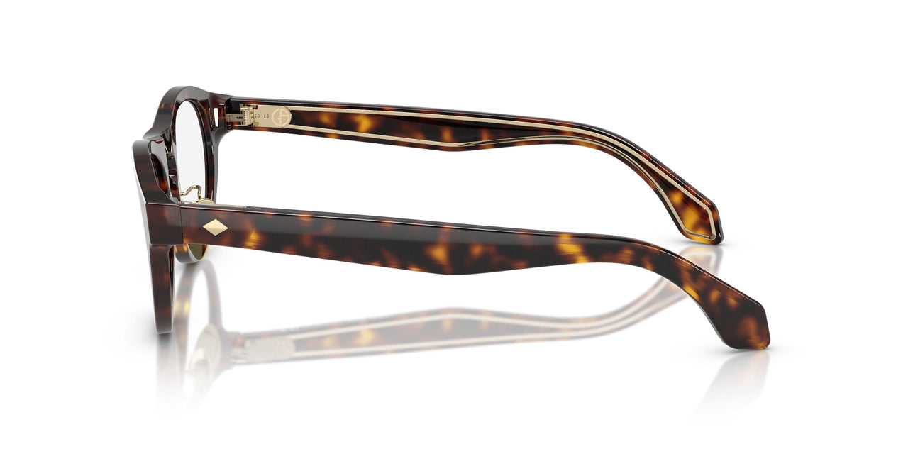 50261W - Tortoise - Clear