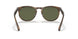 590058 - Brown - Polar Green