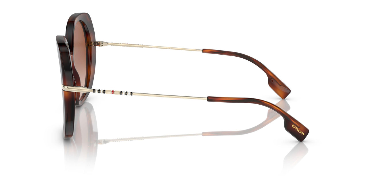 331613 - Havana - Brown Gradient