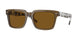 Vogue Eyewear 5573S Sunglasses