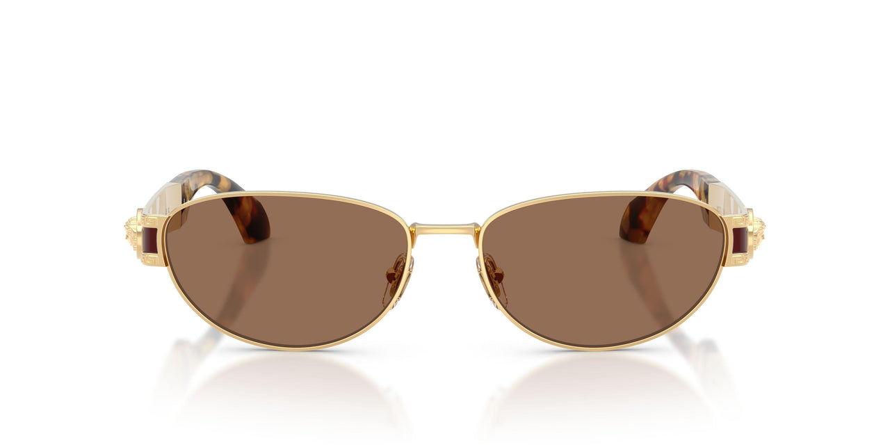 152373 - Gold - Dark Brown