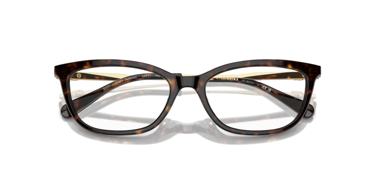 5120 - Tortoise
