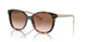 07R0A6 - Tortoise - Brown Gradient