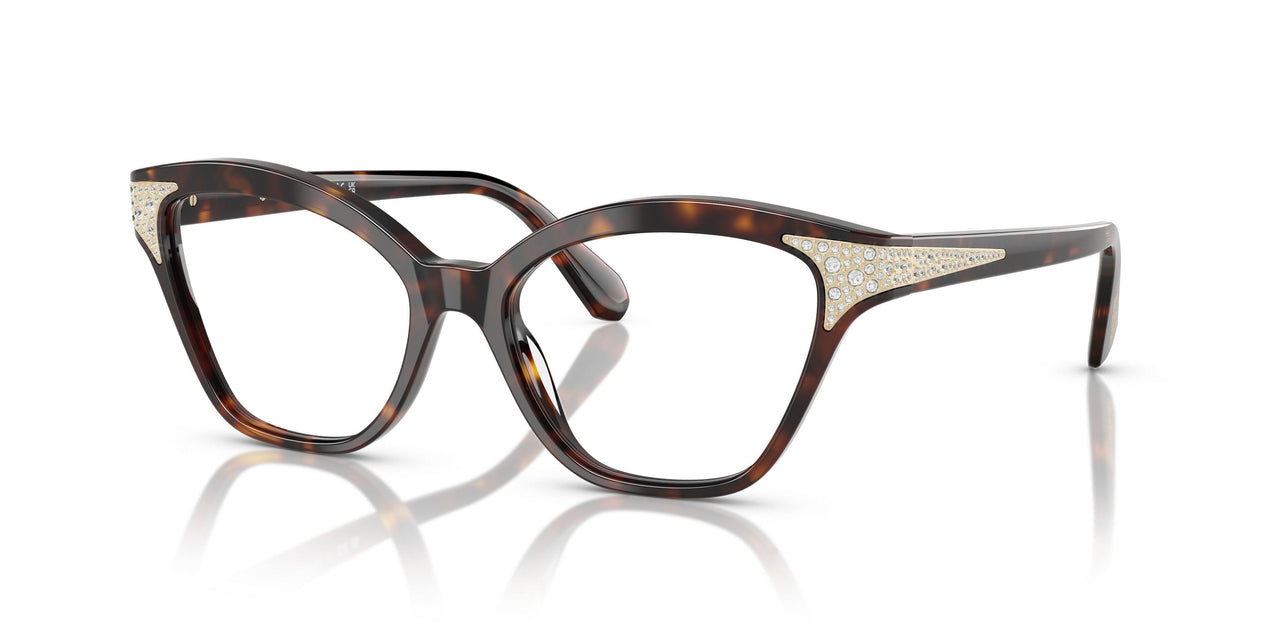 1002 - Brown