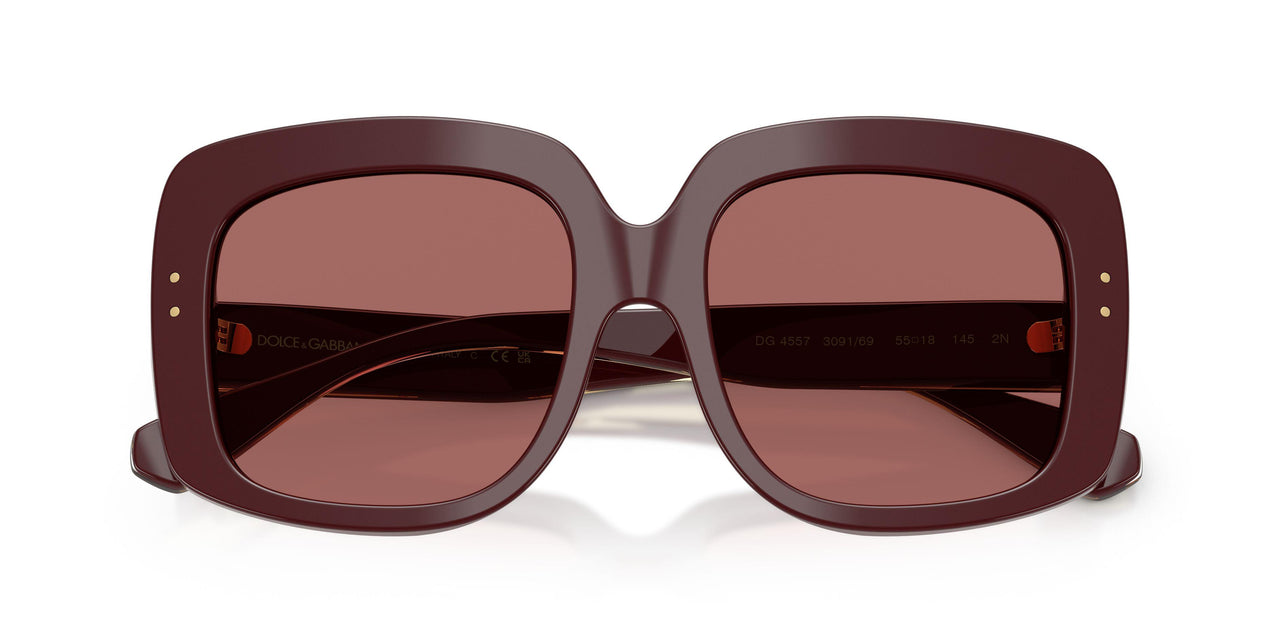 309169 - Red - Dark Violet