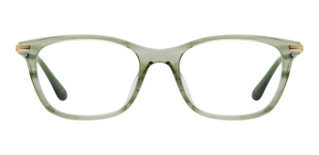 06AK-00 - GREEN HRN