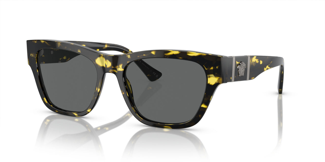 542887 - Tortoise - Dark Grey