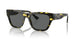 542887 - Tortoise - Dark Grey