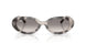 144832 - Grey - Clear Gradient Grey