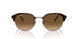 710/M2 - Tortoise - Brown