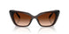 108474 - Brown - Brown Gradient