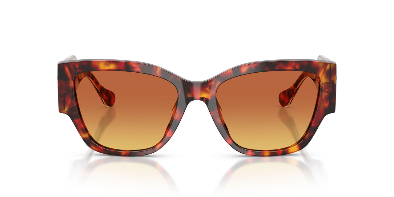 5543T5 - Tortoise - Yellow Gradient Brown