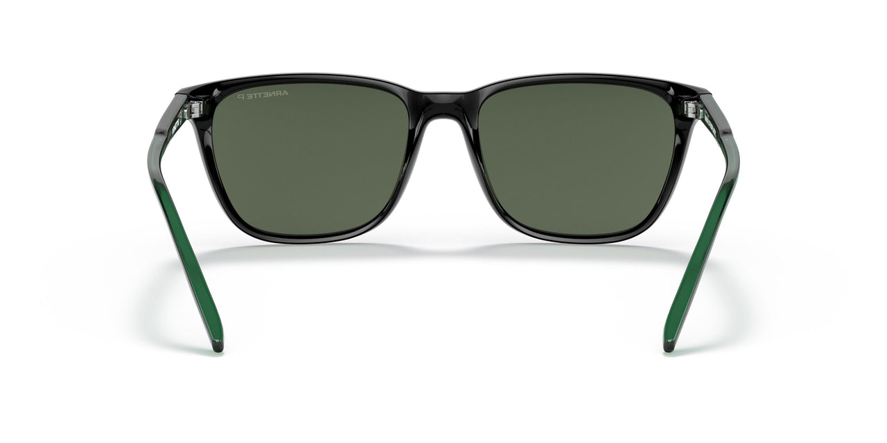 27539A - Black - Dark Green Polar
