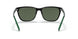 27539A - Black - Dark Green Polar