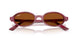 685773 - Violet - Dark Brown
