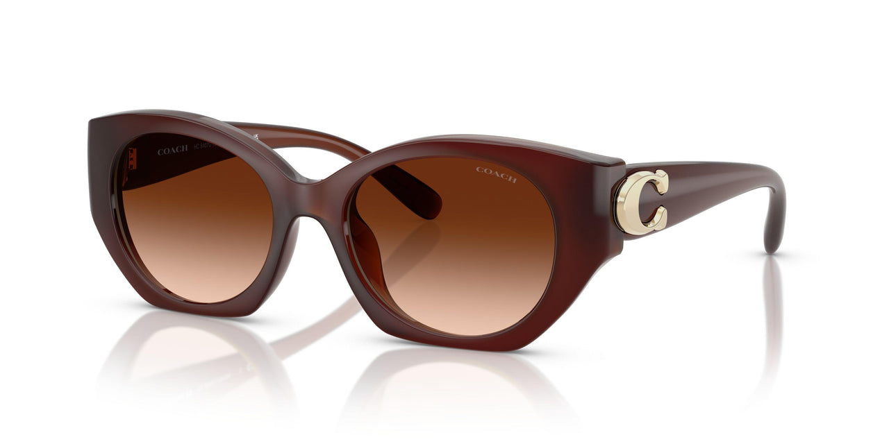 584174 - Brown - Brown Gradient
