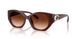 584174 - Brown - Brown Gradient