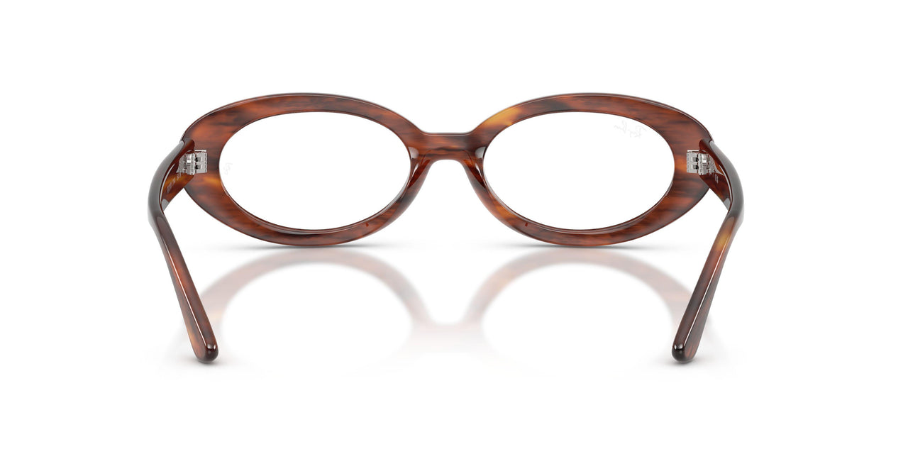 2144 - Brown - Clear