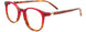 Takumi TK1254 Eyeglasses