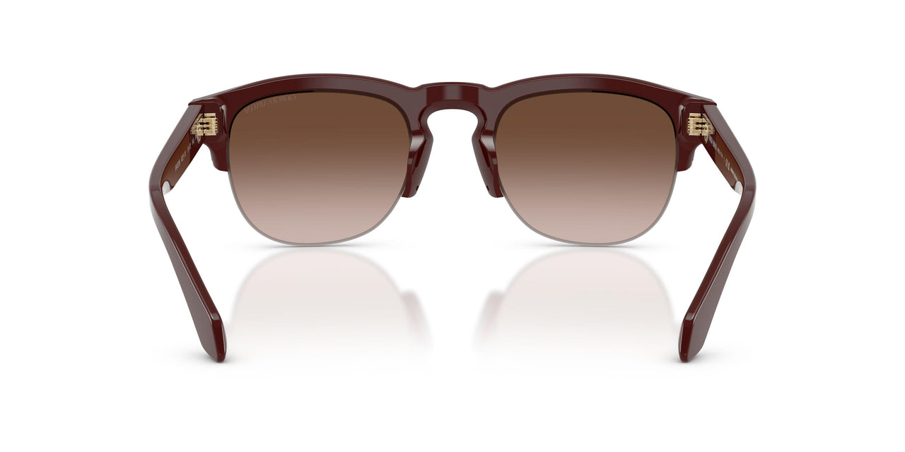 622113 - Red - Gradient Brown