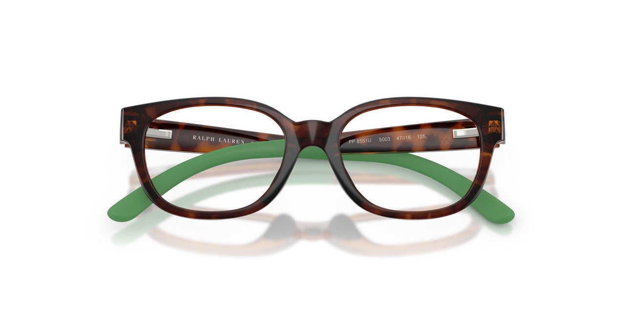 5003 - Tortoise