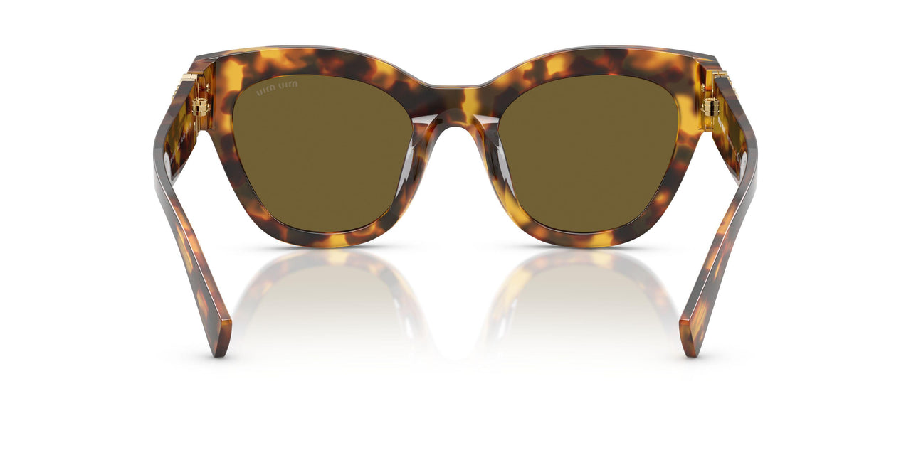 14L09Z - Tortoise - Dark Brown
