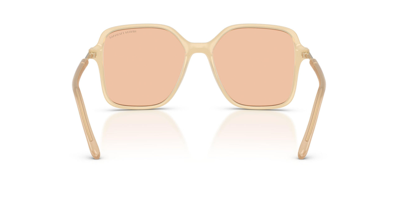 836673 - Brown - Light Brown