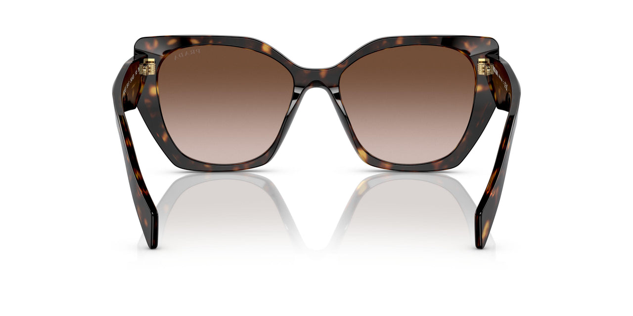2AU6S1 - Havana - Brown Gradient